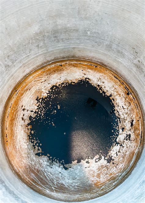 Image result for Box Elder Tree Syrup