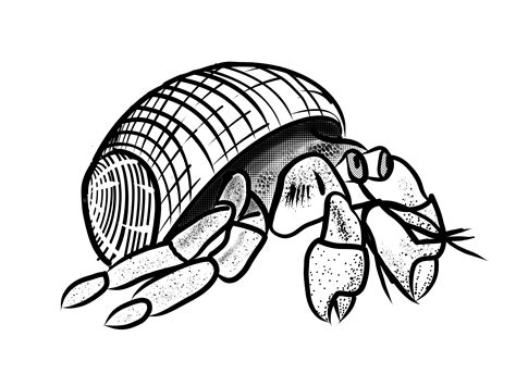 Hermit Crab Simple Drawing