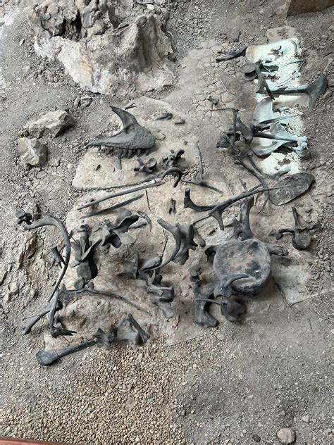 Guide to visiting the Cleveland Lloyd Dinosaur Quarry at Jurassic ...