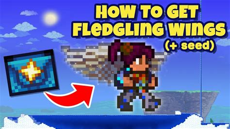 How to get FLEDGLING Wings in Terraria (+ Seed) - YouTube
