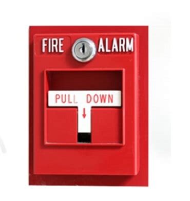 Services | Digital Automation