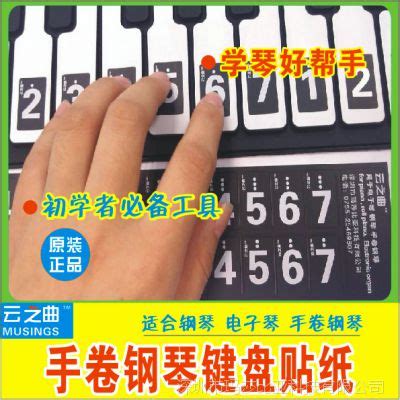 云之手卷钢琴 49键电子琴88键键盘数字贴纸 61键简谱对照表】价格_厂家 - 中国供应商