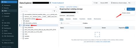 Image result for Create a Volume Databricks