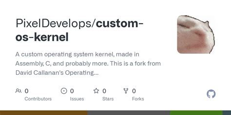 Image result for Create Your Own Simple Kernel OS