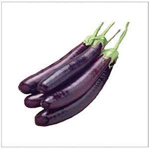 VibeX ® VXI-281 Brinjal Black Long Seeds F1 Hybrid Seed Price in India ...