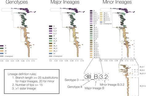 Image result for Virus Examples