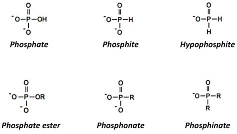 Review of Phosphite as a Plant Nutrient and Fungicide