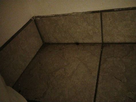 QUALITY INN & SUITES (Hawkesbury) - Motel Reviews, Photos, Rate ...