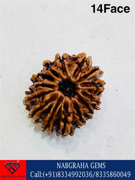 Natural Rudraksha Beads NEPALI