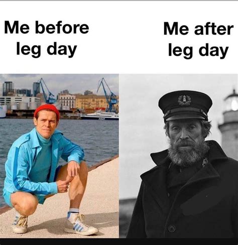 Me After Leg Day Meme