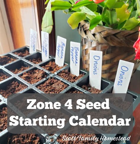 Indoor Seed Starting Calendar