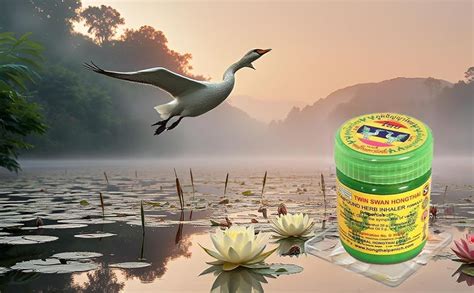 TWIN SWAN HONGTHAI™ Hong Thai Traditional Herbal Inhaler Pack Of 1 ...
