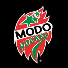 Image result for Modo Hockey Arena