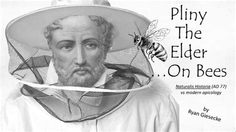 Pliny the Elder ... on Bees, 5708 Abrams Rd, Dallas, TX, United States ...