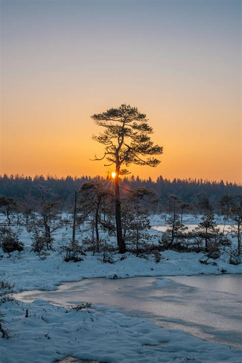 Falaises+De+Corse+Rock+And+Snow Photos, Download The BEST Free Falaises ...
