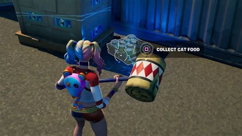 Where & How To Collect Cat Food Fortnite In Season 7
