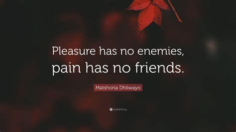 Matshona Dhliwayo Quote: “Pleasure has no enemies, pain has no friends.”