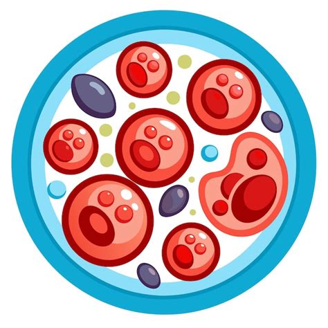 Human blood cells clip art and Vector Design With a White Background ...