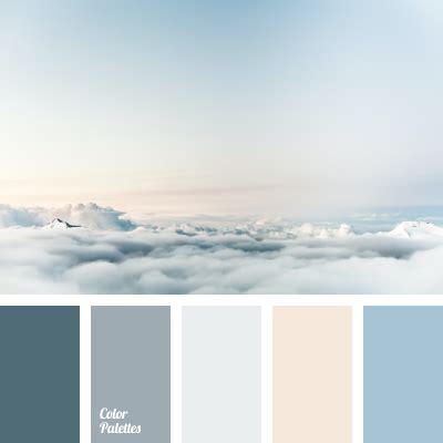 Silver Color Partner 的图像结果