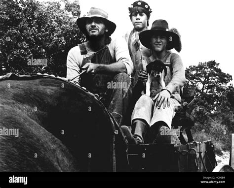 WHERE THE RED FERN GROWS, 1974 Stock Photo - Alamy