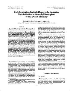 Dark respiration protects photosynthesis against photoinhibition in ...