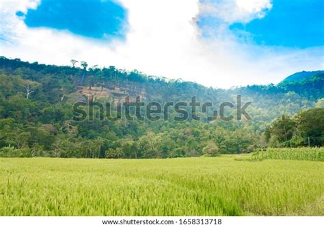 Image result for Mathale Palce