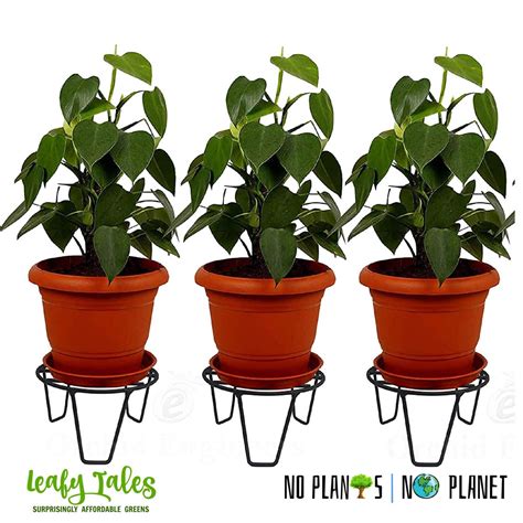 Round Pot Stand – Potclay