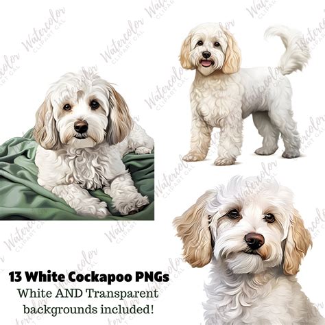 White Cockapoo Clipart Watercolor Bundle Dog Portrait Cockapoo PNG Junk Journal Dog Cockapoo Mom ...