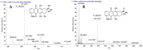 Expression and Purification of Glycosyltransferase DnmS from ...