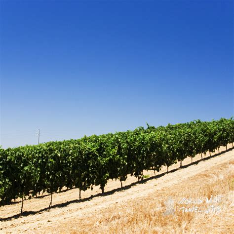 Is Israel in Europe or Asia? Solve the Geographical Mystery