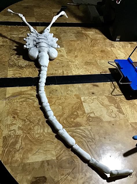 Image result for Alien Face Hugger Latching to Face