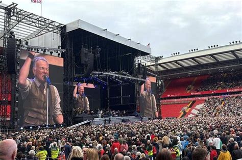 Image result for Bruce Springsteen Live Reactions