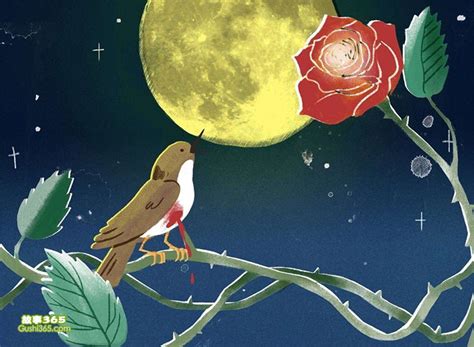 夜莺与玫瑰 - 童话故事 - 故事365
