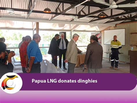 Local Level Government Structure 的图像结果