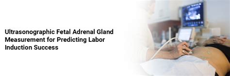 Ultrasonographic Fetal Adrenal Gland Measurement for Predicting Labor ...