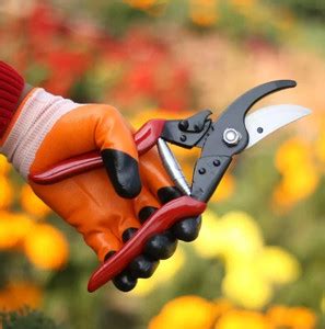 SHAHJI Pruning Shear, Flower Cutter, Heavy Duty Pruner, scissor, All ...