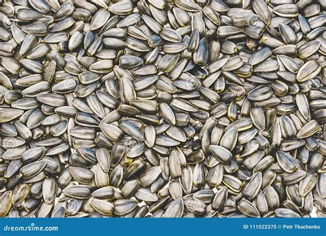 Sunflower seeds in bulk editorial image. Image of ingredient - 111522375