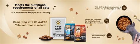 Dry Food | Sheba IN