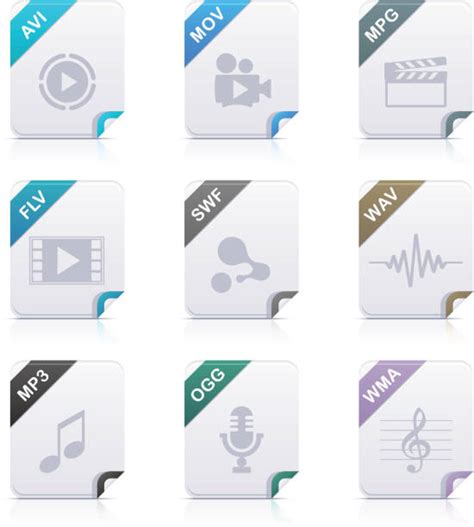 Image result for SWF Full Form