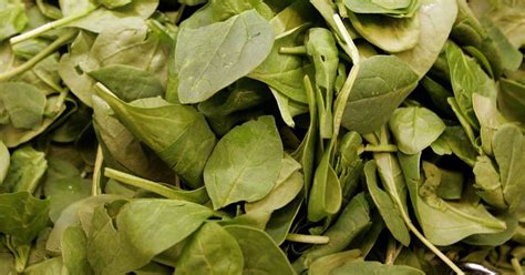 Fresh spinach products recalled after testing positive for listeria ...