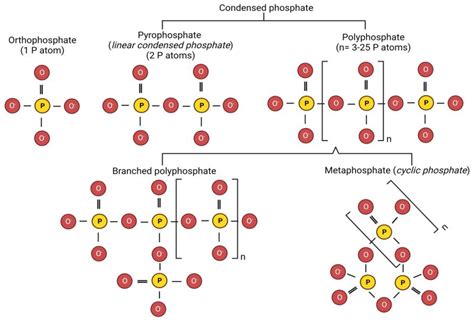 A Review on the Effect of Calcium Sequestering Salts on Casein Micelles ...