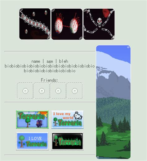 Image result for Code Breaker Terraria