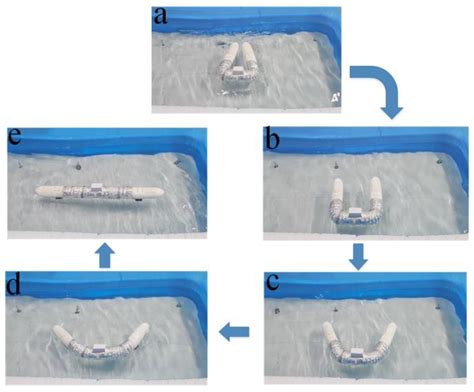 Development of a Deformable Water-Mobile Robot