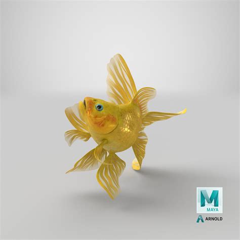 Fish Swim Model 的图像结果