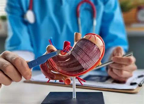 Bypass Surgery: Procedure, Types & When It’s Needed