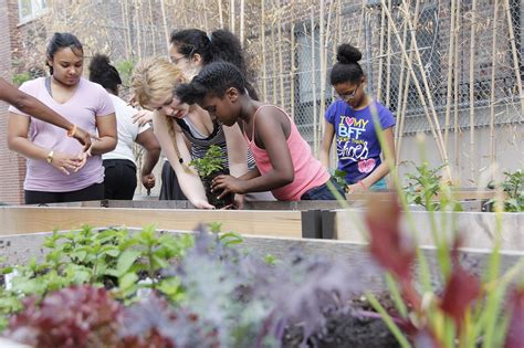 Program Enrollment • The Lower Eastside Girls Club of NY