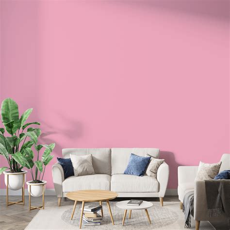 Colour Combo Living Room Magenta – SCI Paints