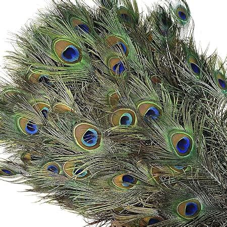 Buy Uphaar Natural Peacock Feather 24 Inch | Mor Pankh | Real Peacock ...