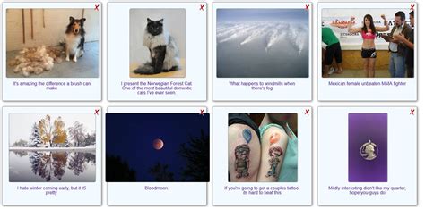 Wait This SHG JavaScript Fire 的图像结果