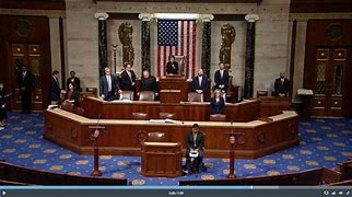 Image result for 众议院 Lower House
